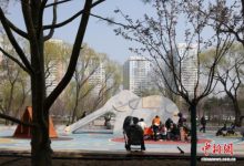 北京首条樱花河将亮相 打造“一刻钟滨水会客厅”_商业头条网