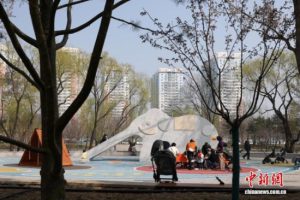 北京首条樱花河将亮相 打造“一刻钟滨水会客厅”缩略图