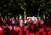 桃花源里看文明：洛阳镇的“四维”振兴图_商业头条网