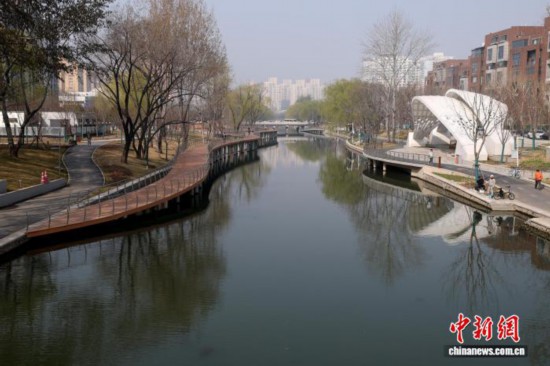 北京首条樱花河将亮相 打造“一刻钟滨水会客厅”插图1