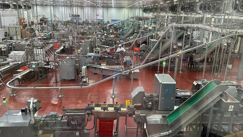 透过火腿肠“诞生记” 看智能产线如何守护舌尖安全插图1