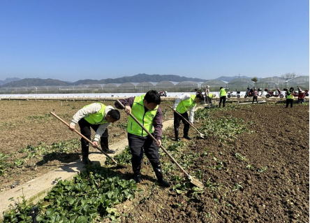 金融活水润南粤 中华保险护春耕——中华财险广东分公司护航2026年春耕备耕插图2 金融活水润南粤 中华保险护春耕——中华财险广东分公司护航2026年春耕备耕插图2