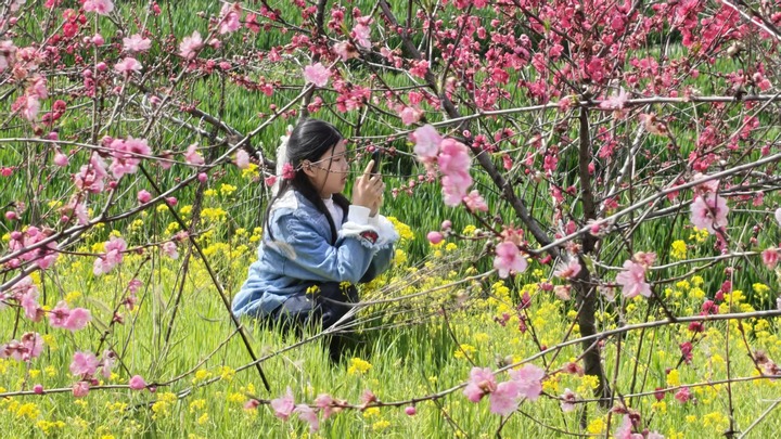 不只远观 多地推春日“玩花”文旅项目插图1 不只远观 多地推春日“玩花”文旅项目插图1