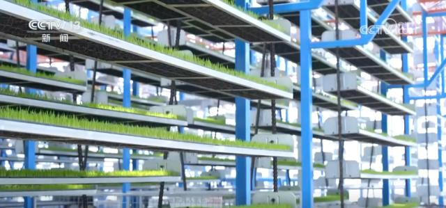 各地积极开展春耕春管工作 希望的田野上“苗”绘多彩春景图插图3 各地积极开展春耕春管工作 希望的田野上“苗”绘多彩春景图插图3