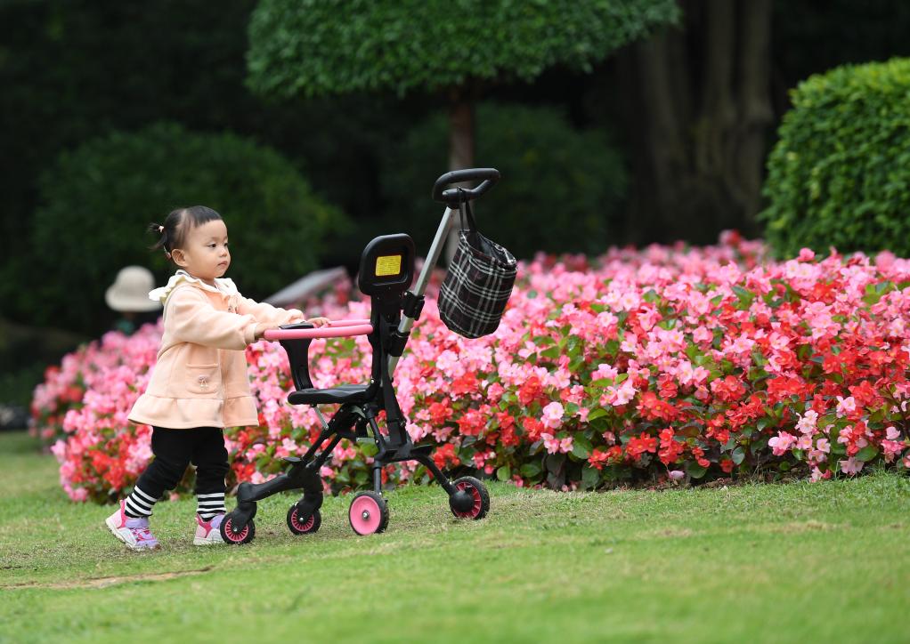 四季皆芳菲 这座城市“人间四月天”全年不打烊插图12
