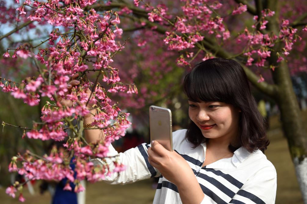 四季皆芳菲 这座城市“人间四月天”全年不打烊插图5