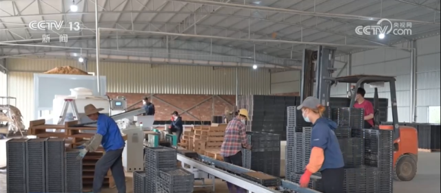 各地积极开展春耕春管工作 希望的田野上“苗”绘多彩春景图插图 各地积极开展春耕春管工作 希望的田野上“苗”绘多彩春景图插图