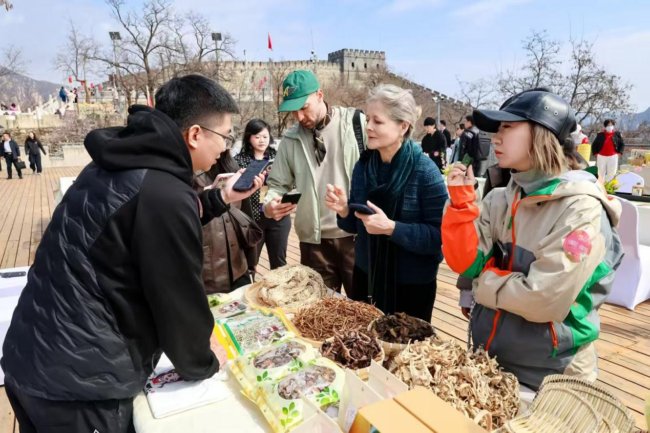 长城茶会•寻味丝路:“味觉丝路”在慕田峪圆满收官插图3 长城茶会•寻味丝路:“味觉丝路”在慕田峪圆满收官插图3