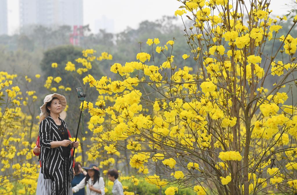四季皆芳菲 这座城市“人间四月天”全年不打烊插图6