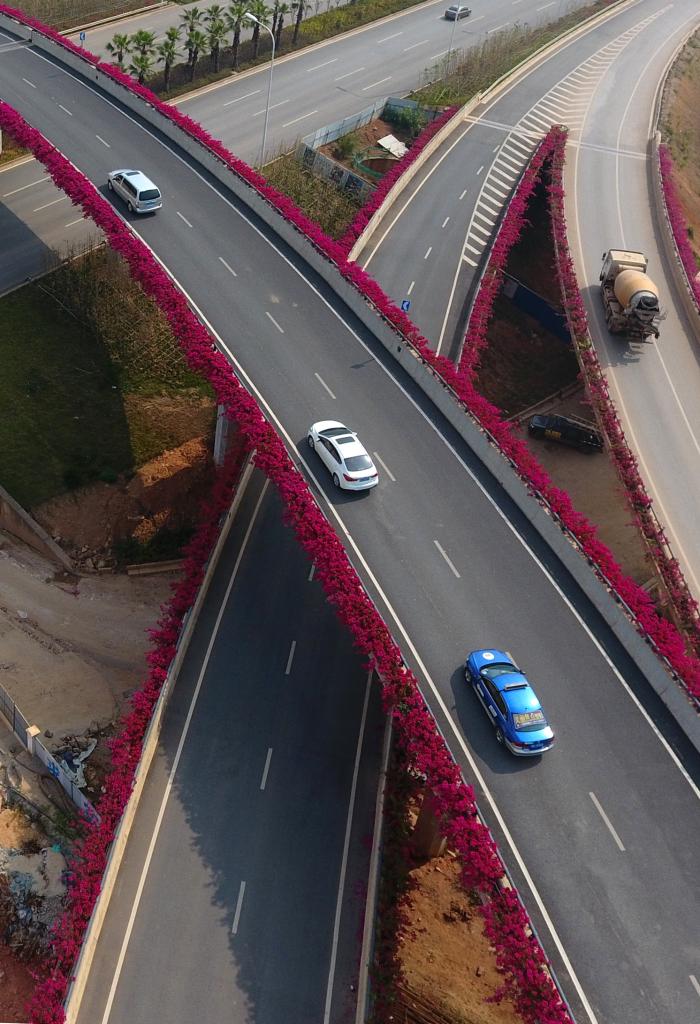 四季皆芳菲 这座城市“人间四月天”全年不打烊插图10