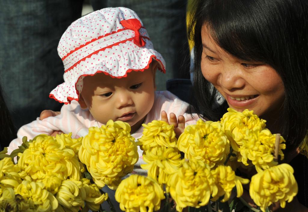 四季皆芳菲 这座城市“人间四月天”全年不打烊插图19
