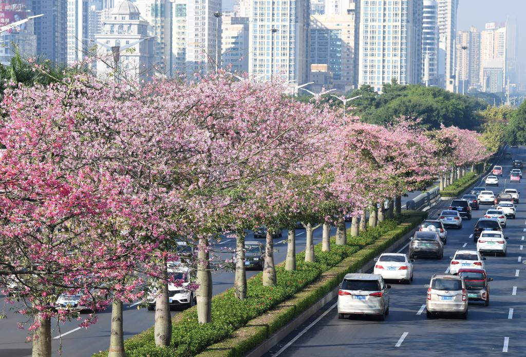 四季皆芳菲 这座城市“人间四月天”全年不打烊插图4