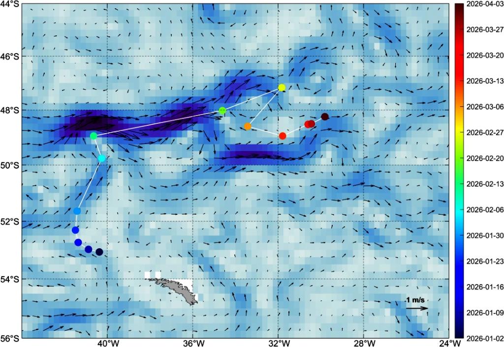 世界最大冰山崩解“销号” 我国风云气象卫星监测有“绝招”插图1