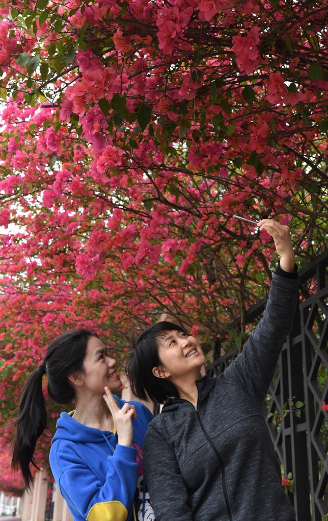 四季皆芳菲 这座城市“人间四月天”全年不打烊插图9