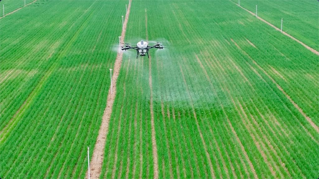 人工智能“开处方” 智慧农机进麦田插图1