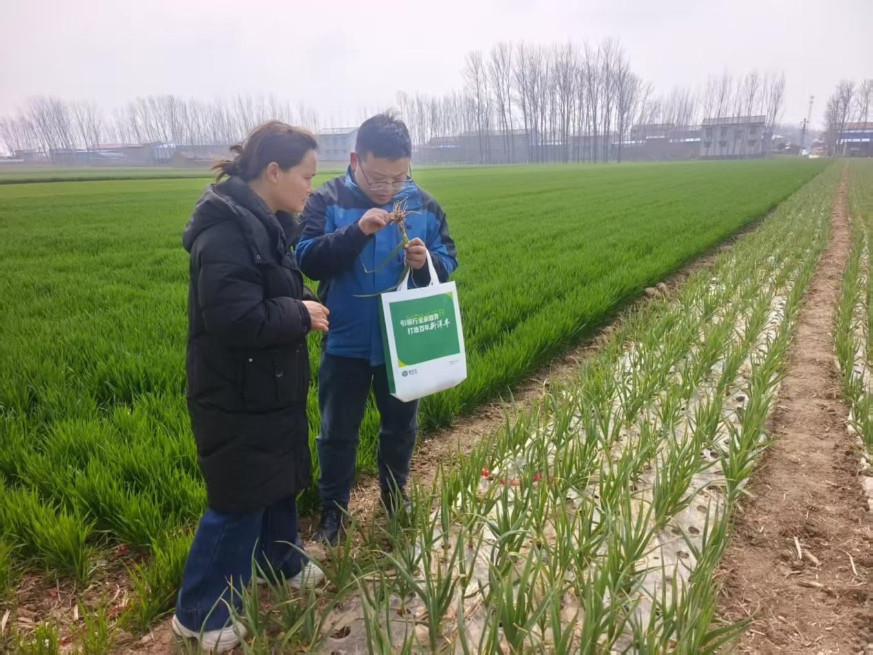 全链条发力!新洋丰跑出春耕“加速度”插图3 全链条发力!新洋丰跑出春耕“加速度”插图3