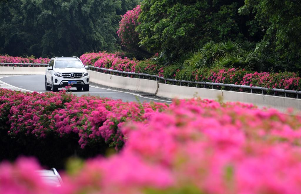 四季皆芳菲 这座城市“人间四月天”全年不打烊插图17