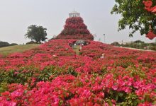 四季皆芳菲 这座城市“人间四月天”全年不打烊_商业头条网