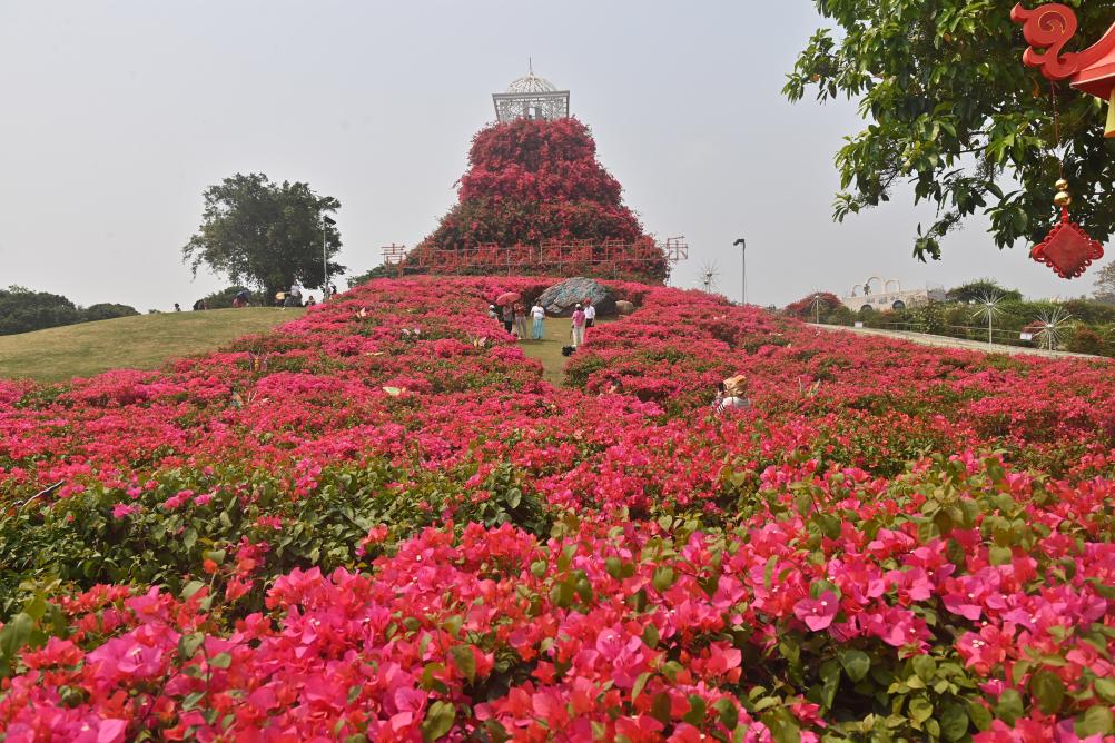 四季皆芳菲 这座城市“人间四月天”全年不打烊插图