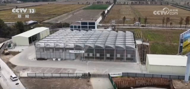 各地积极开展春耕春管工作 希望的田野上“苗”绘多彩春景图插图1 各地积极开展春耕春管工作 希望的田野上“苗”绘多彩春景图插图1