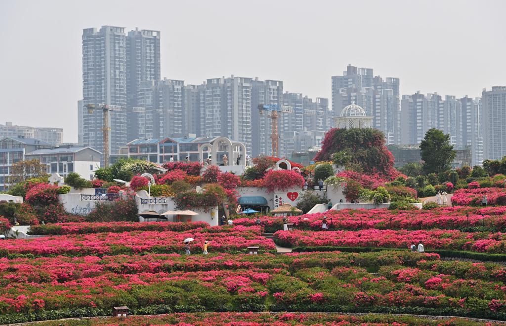 四季皆芳菲 这座城市“人间四月天”全年不打烊插图2