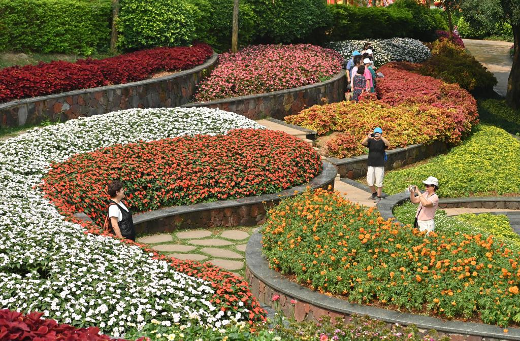 四季皆芳菲 这座城市“人间四月天”全年不打烊插图1