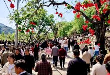 做好乡村旅游特色文章 农文旅融合拓展消费新空间_商业头条网