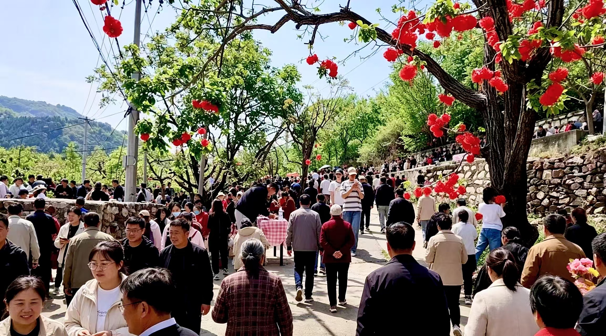 做好乡村旅游特色文章 农文旅融合拓展消费新空间插图