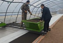 从“暗室催芽”到“无盘育秧” 内蒙古兴安盟种稻满是“科技范”_商业头条网