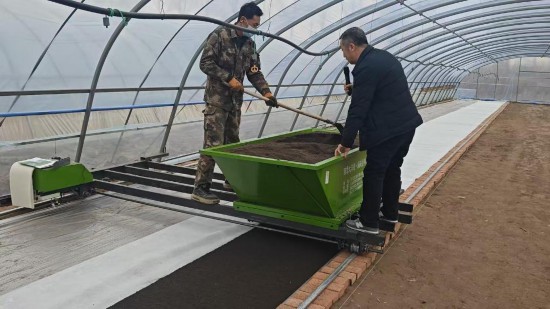 从“暗室催芽”到“无盘育秧” 内蒙古兴安盟种稻满是“科技范”插图