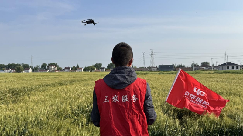 护航夏粮丰产 中华财险江苏分公司赋能乡村产业提质增效插图