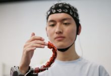 他们在脑机接口技术前沿探索“三磅宇宙”的奥秘_商业头条网