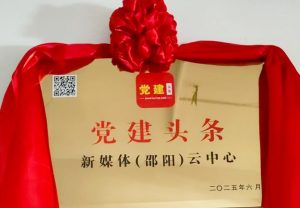 《党建头条·邵阳频道》合作共建启动 诚邀社会各界携手赋能数字党建_商业头条网