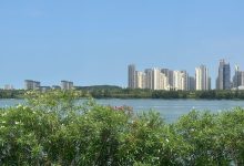 从荒滩到碧湾 看平潭海湾如何走出生态富民路_商业头条网