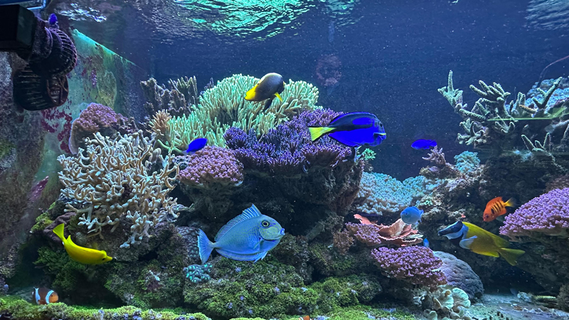 守好蓝色生态家底 这里用科技激活深海动能插图 守好蓝色生态家底 这里用科技激活深海动能插图