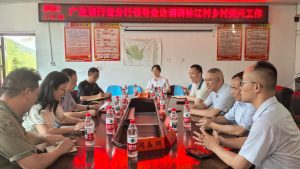 广发银行长沙分行到邵阳分行定点帮扶村开展调研走访活动插图2