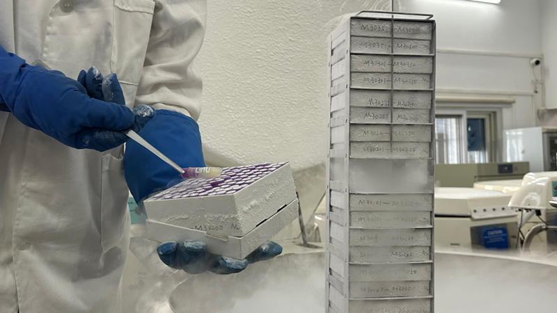 守好蓝色生态家底 这里用科技激活深海动能插图1 守好蓝色生态家底 这里用科技激活深海动能插图1