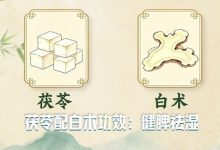 三伏天暑热湿气交织如何养生南北方法大不同_商业头条网