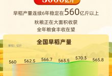 粮食稳、产业兴 关键词里看和美乡村建设_商业头条网
